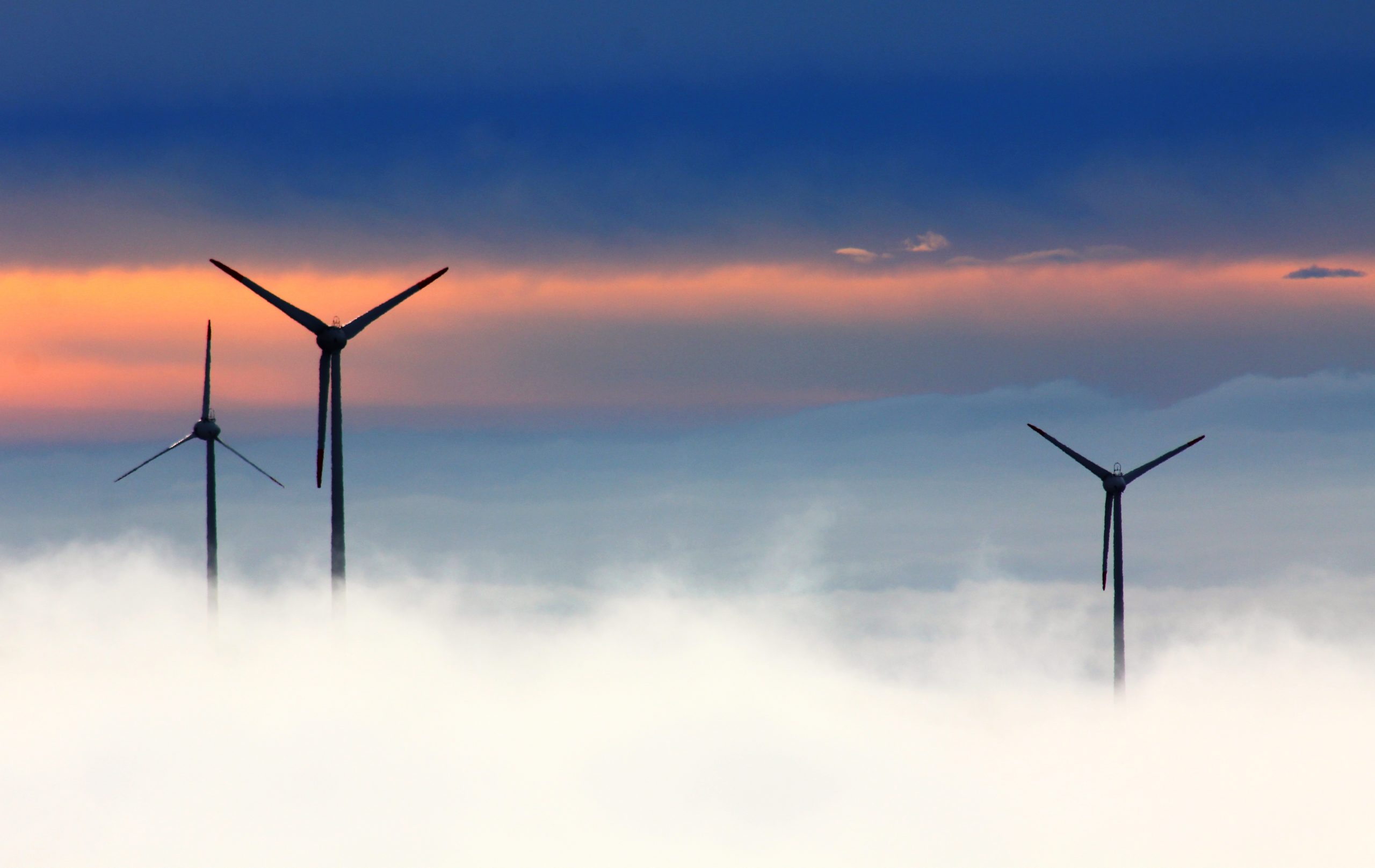 A wind farm rising out of the mist.