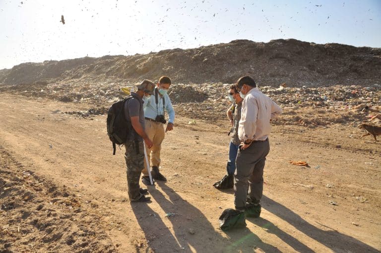 Nishant with three colleagues at a waste site in India, with birds and a dog in the background