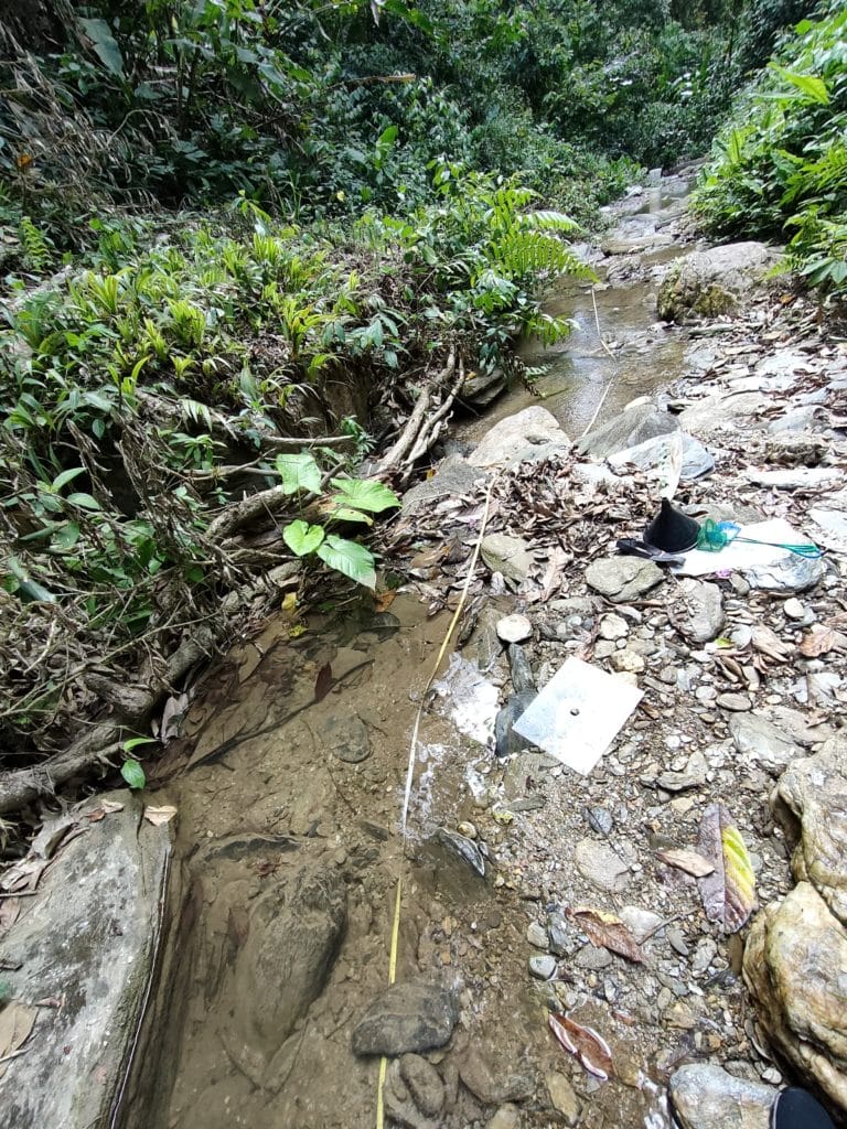 A Trinidadian stream