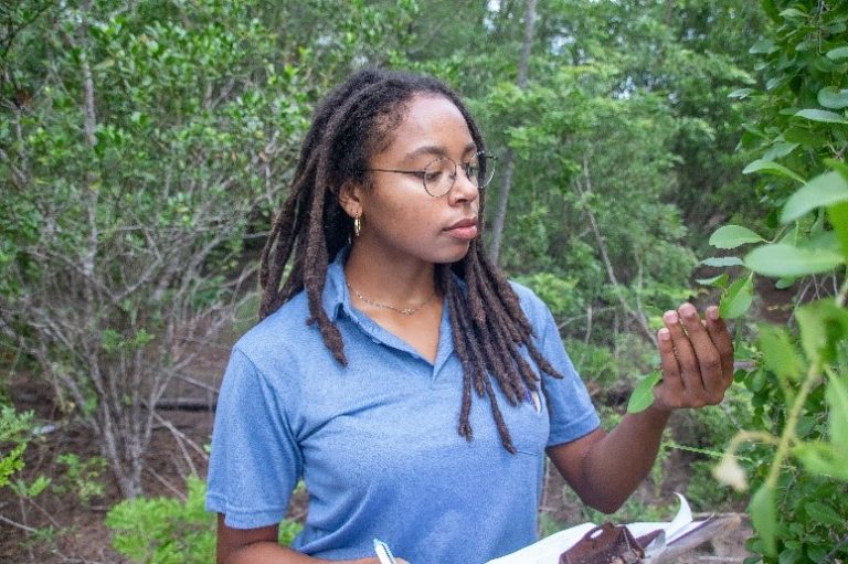 Zoe in a forest, Identifying plants for a restoration project on a field trip.